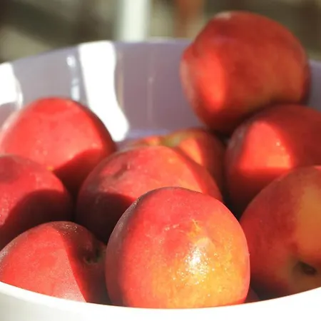 Grand - Medical 5* 帕莫瑞