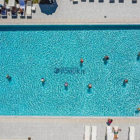 Grand - Medical 帕莫瑞