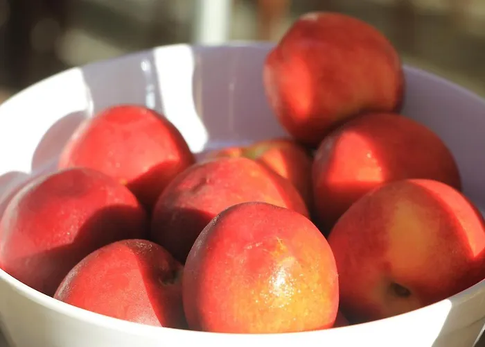 Grand - Medical 5* ポモリエ